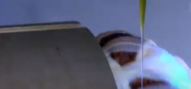 𝗔𝗱𝘃𝗮𝗻𝗰𝗶𝗻𝗴 𝗘𝗰𝗼-𝗙𝗿𝗶𝗲𝗻𝗱𝗹𝘆 𝗜𝗺𝗽𝗿𝗲𝗴𝗻𝗮𝘁𝗶𝗼𝗻 𝗧𝗲𝗰𝗵𝗻𝗼𝗹𝗼𝗴𝘆